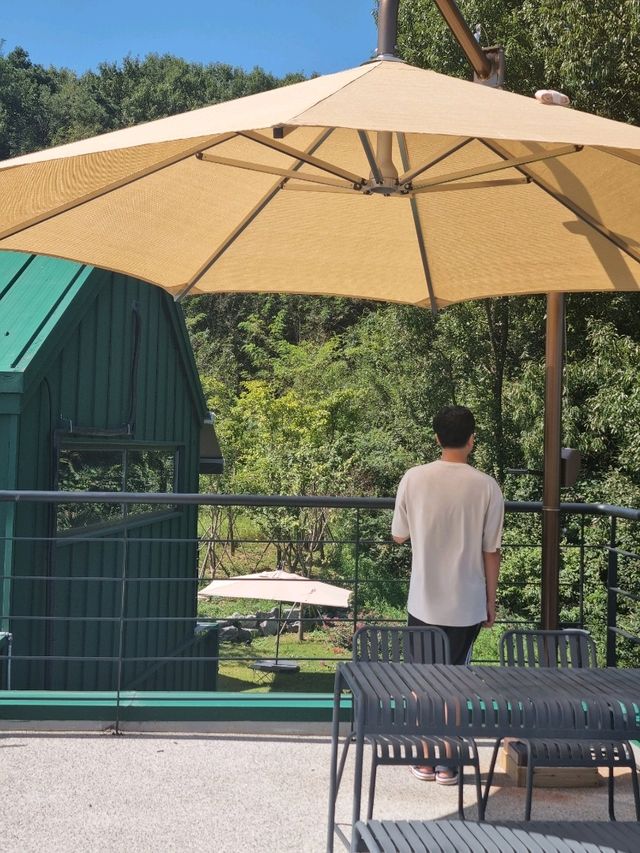 멋진 야외 테라스석을 보유한 카페