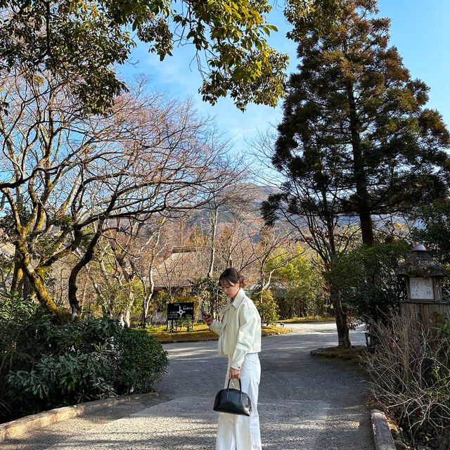 유후인가면 꼭 들러야할 긴린코호수🦢🦢
