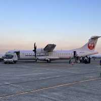 【鹿児島】無事に着陸出来るのか⁉︎ドキドキフライト✈️