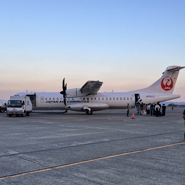【鹿児島】無事に着陸出来るのか⁉︎ドキドキフライト✈️