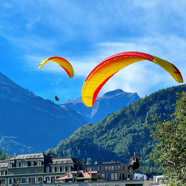 Interlaken Paragliding and Grindelwald