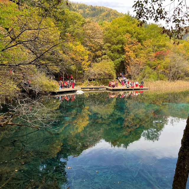 五彩斑斕🌸五花海🌸|Trip.com 九寨溝