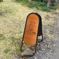 제주 세화 또 다시 가고싶은 빵집 가는곶 세화