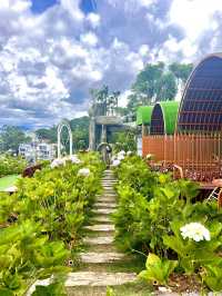 Explore Da Lat Cable Car Station 🚠 🇻🇳