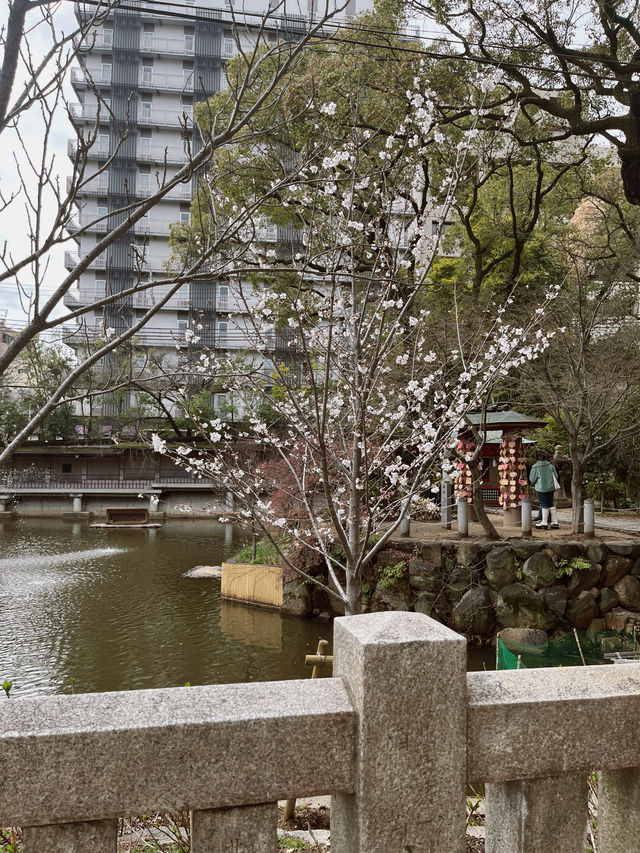 고베에서 꼭 가야하는 오래된 전통 신사⛩️