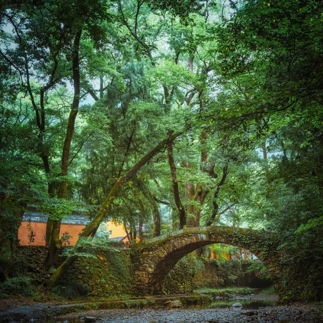 秀靈瀑布風景區 💦🌿大自然的清新🏞️🚶