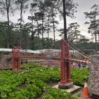 Baguio Botanical Garden | Philippines 🇵🇭 