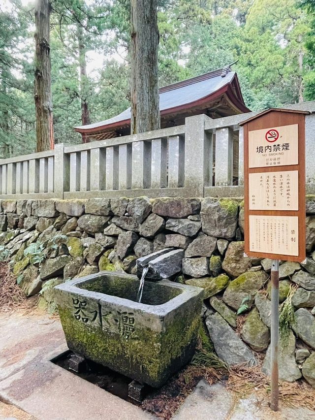 【群馬県/三夜沢赤城神社】2023年行ってよかった！群馬県の神社⑤