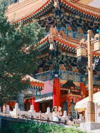 香港｜去黃大仙 走一趟香火繚繞寺廟之旅