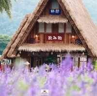 Hokkaido Flower Park Khaoyai