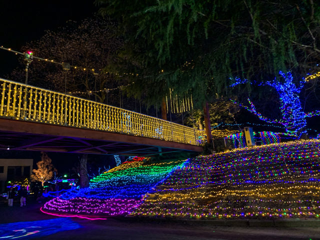 งานประดับไฟ Shinchi Park 新地公園