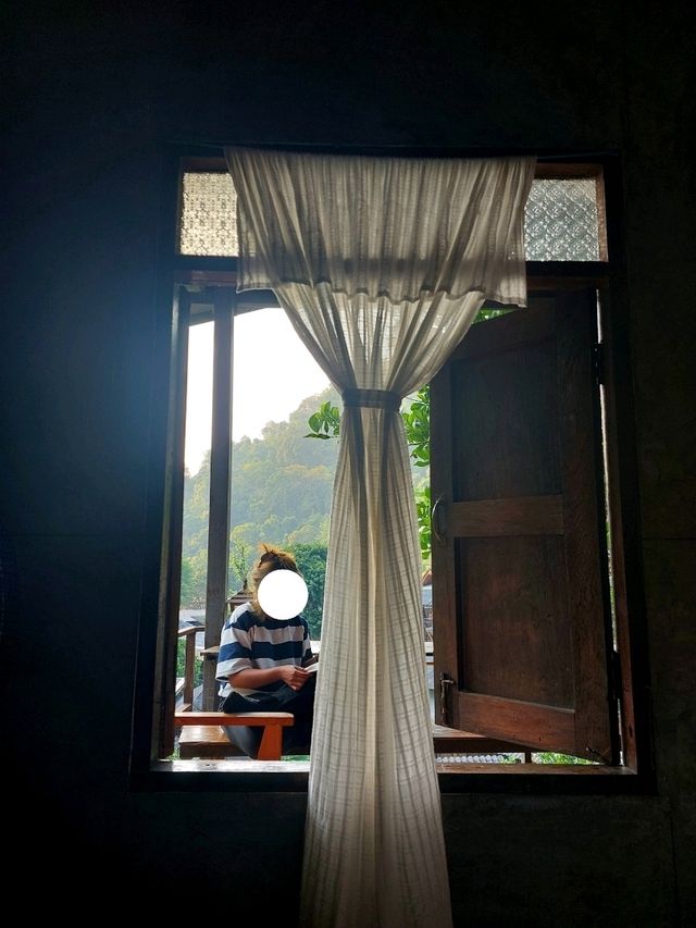 THE TREE HOME , แม่กำปอง , เชียงใหม่ THE TREE HOME , แม่กำปอง , เชียงใหม่
