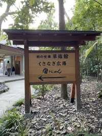 名古屋熱田神宮のくさなぎ広場