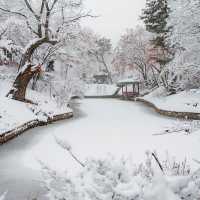 The Beauty of Changdeokgung palace in winter 