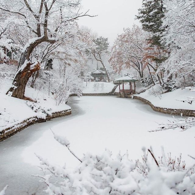 The Beauty of Changdeokgung palace in winter 