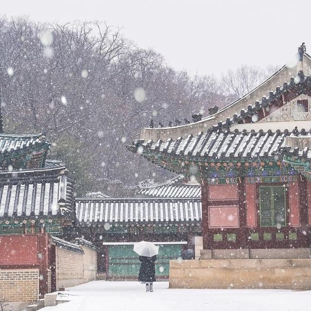Changdeokgung Palace on a snowy day