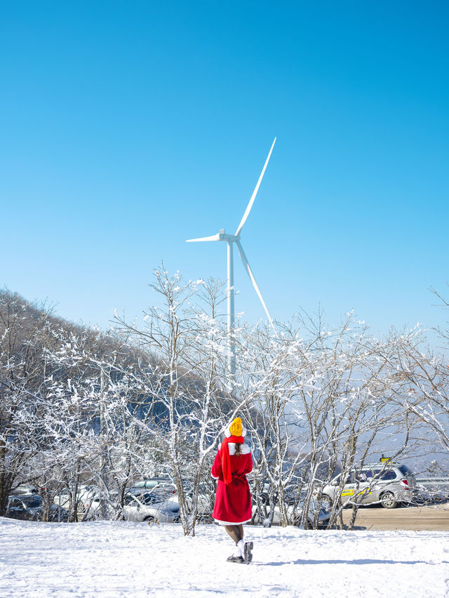 주차후1분! 눈꽃이 가득한 설산은 여기 만항재🏔️