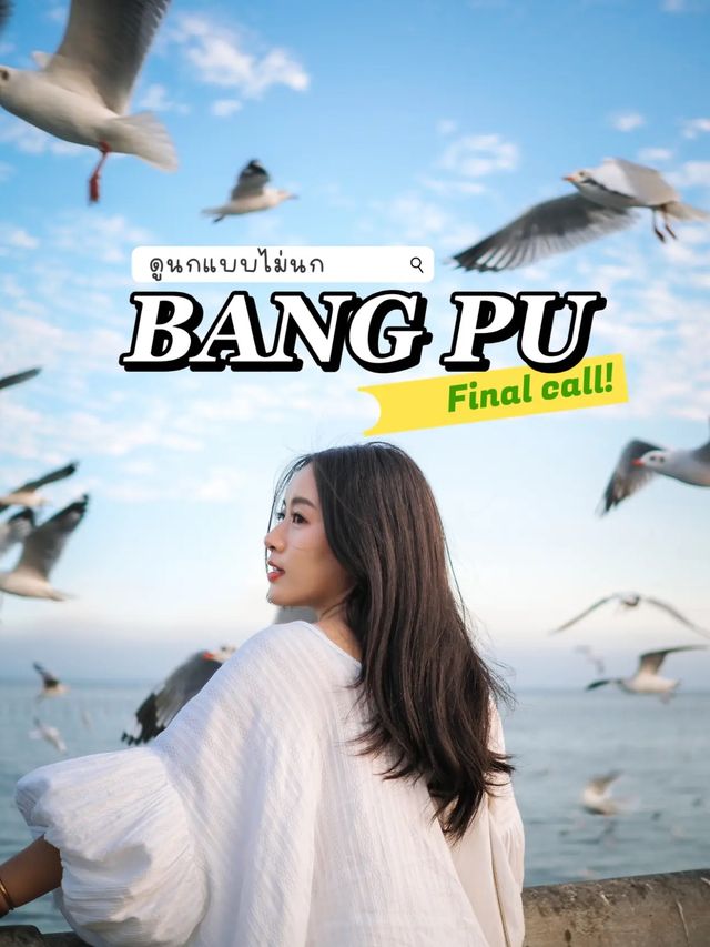 One day trip บางปู | เดือนสุดท้ายก่อนนกนางนวลจะไป