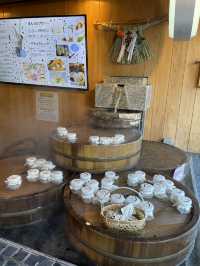 下呂溫泉街♨️｜青蛙布丁、青蛙神社，尋找青蛙之旅🐸