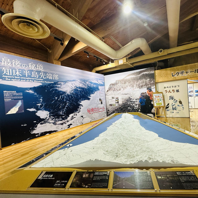 知床世界遺產中心（知床世界遺産センター）