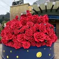 Little Prince in Ocean Park Hong Kong 
