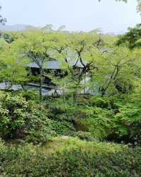 Best temple and garden in kyoto