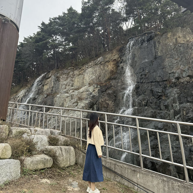 달성군 꽃놀이 하기 좋은 옥연지 송해공원 