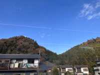秩父日帰り🚈　Laview乗車