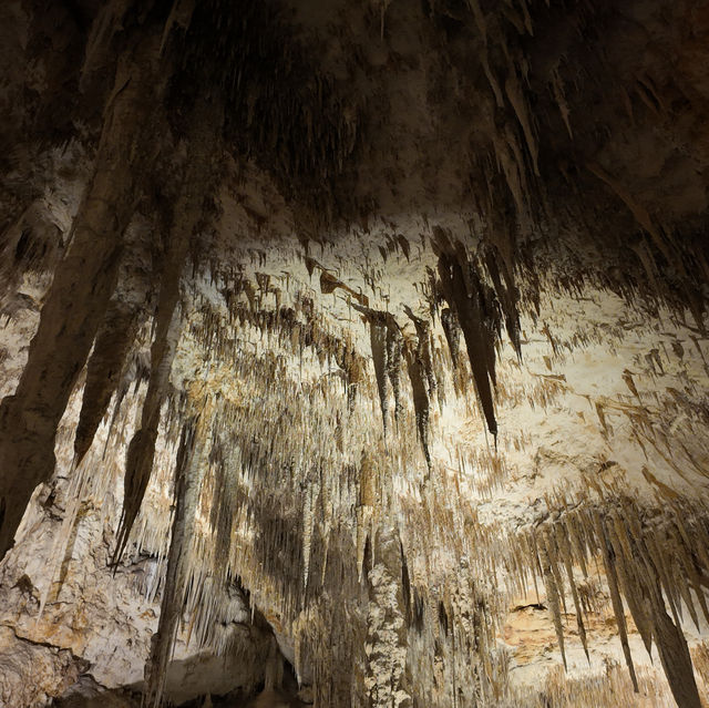 Unique experience while exploring the caves!