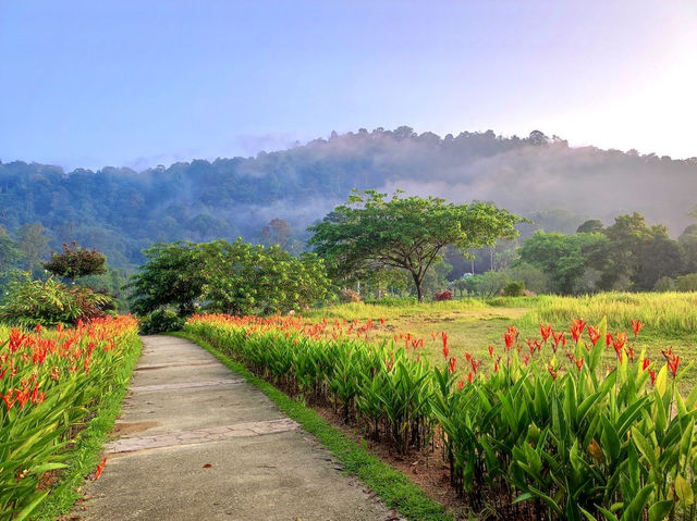 Kepong Botanic Gardens | FRIM 