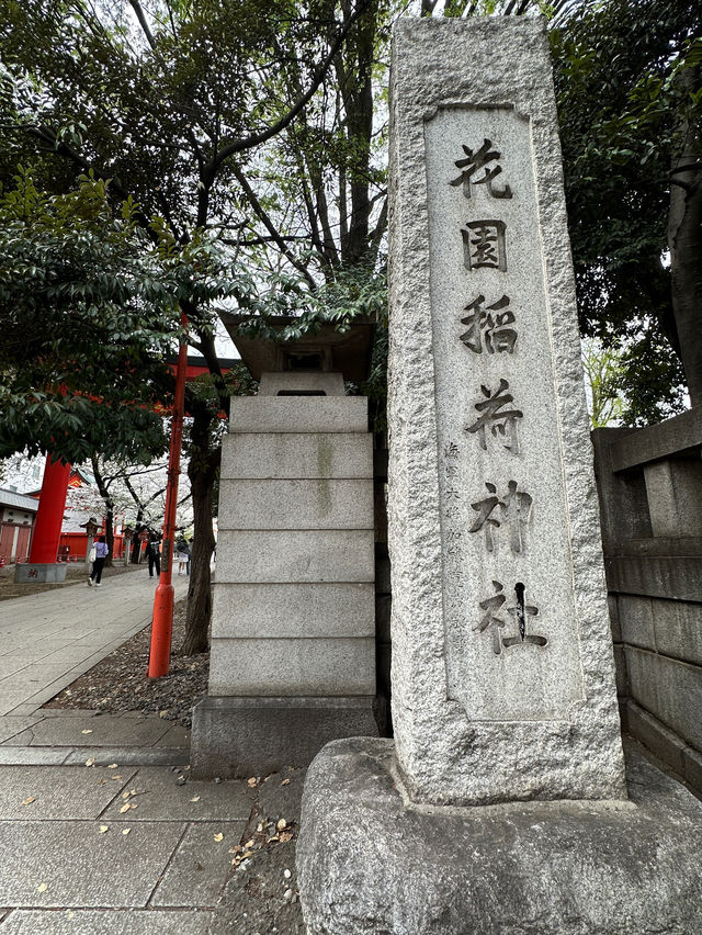 新宿花園神社～櫻花盛宴