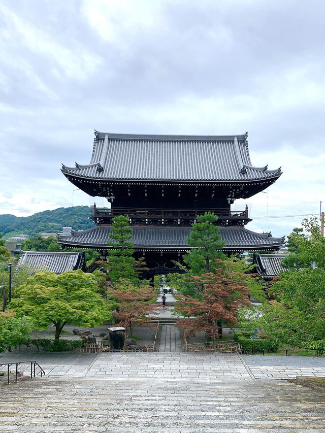 【京都観光】可愛いアヒルがお出迎え♡花玉手水に癒される寺院