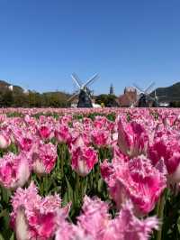 Huis Ten Bosch 