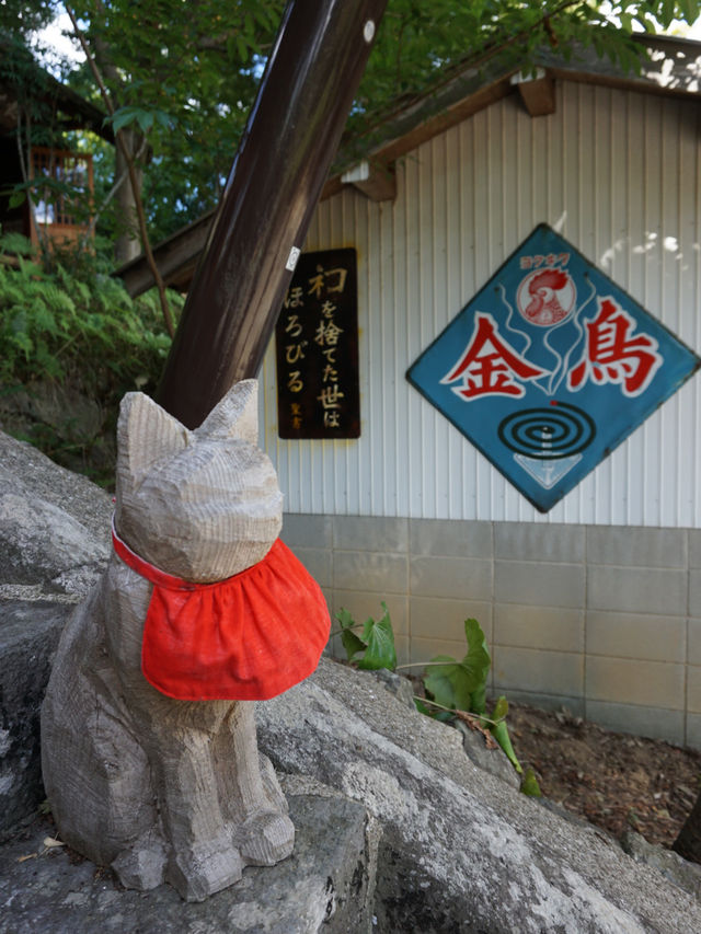 【山口】猫好きさん必見！猫だらけのお寺♡