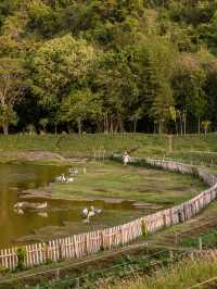 Chan Nature Cafe คาเฟ่วิวสุดปังแห่งกาญจนบุรี 📸🌳