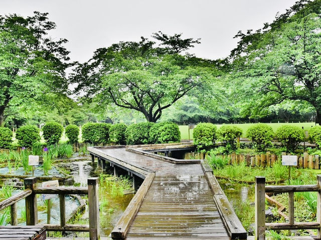 Huge Park in Fujisawa City