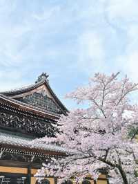 【京都】蹴上〜南禅寺エリアを桜散歩