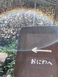 【福岡カフェ】坂を登ると緑に囲まれた小さな癒しカフェがあるよ🌿