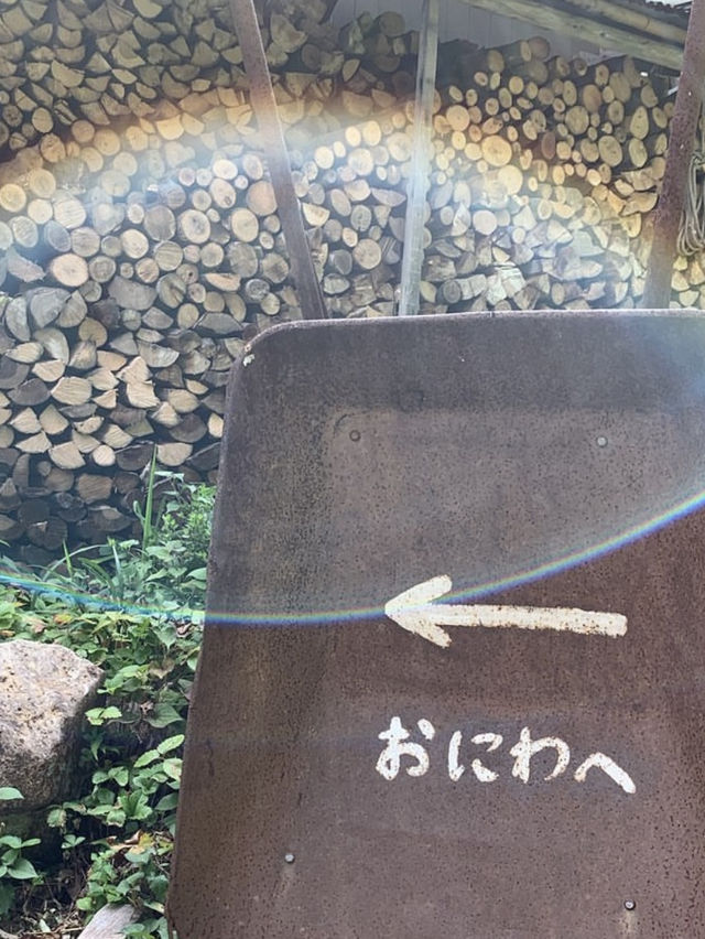 【福岡カフェ】坂を登ると緑に囲まれた小さな癒しカフェがあるよ🌿