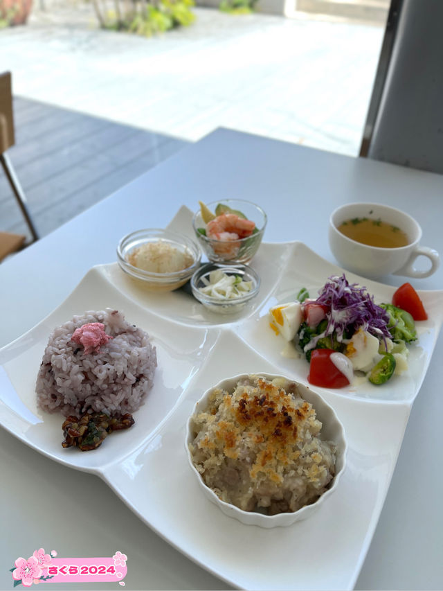 【福岡カフェ】色とりどりの体に優しいランチが食べられるお洒落カフェ✨
