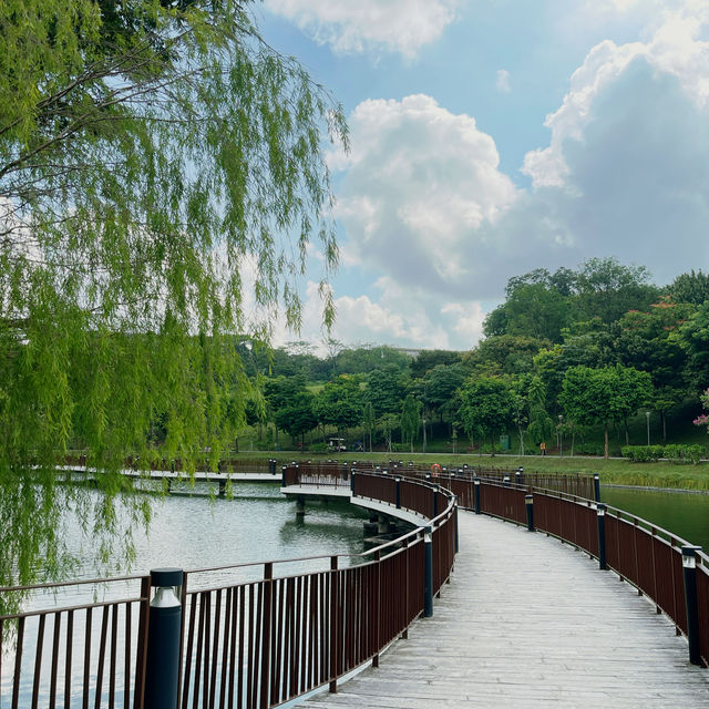 Unwind and Unplug: Punggol Park Connector's Nature Escape