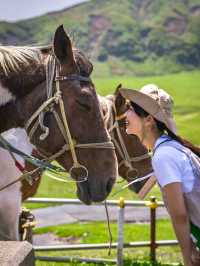 大草原をお馬とお散歩🐴🥕