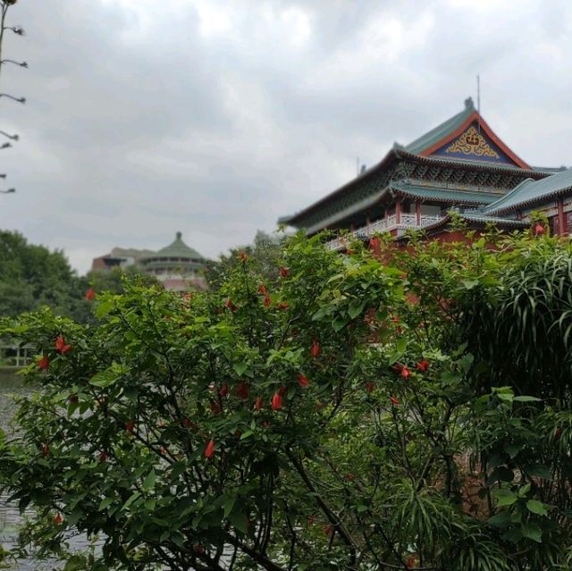 フォトジェニックな剥皮寮