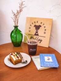 Molley Coffee Stand คาเฟ่หัวหินน่ารักนุบนิบ 🏠