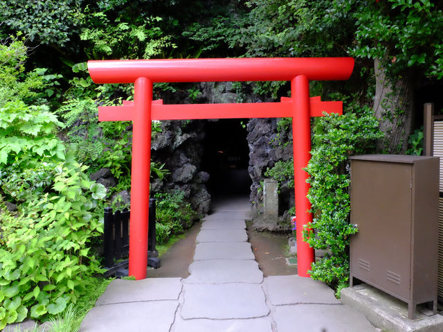 【東京近郊】‼️5月29日開始繡球花盛開見頃活動(2) ‼️ @鎌倉長谷寺，六月必遊景點！