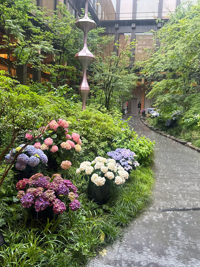 【京都】無料で楽しめる駅直結のお手軽紫陽花スポット💐
