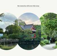 「交通公園～大自然恬靜」