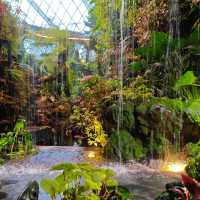 新加坡不能錯過之Garden by the bay