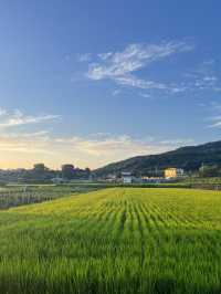 장화리 해수욕장의 여름 일몰, 황홀한 끝자락의 순간들 🌅
