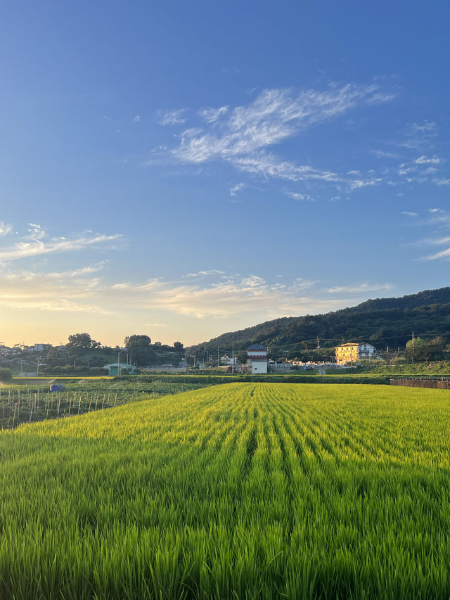장화리 해수욕장의 여름 일몰, 황홀한 끝자락의 순간들 🌅